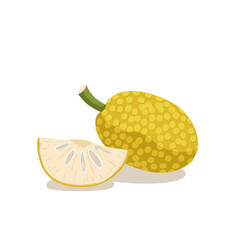 Graphic illustration of yellow breadfruit and slice with white background and green stem