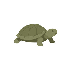 Green turtle illustration with patterned shell, walking right on a white background