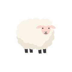 Cartoon sheep with fluffy white wool and a pink face, set against a clean white background