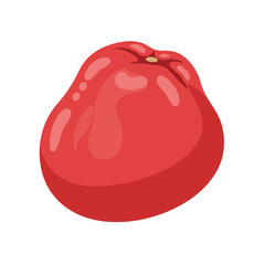 Cartoon style illustration of a glossy, reddish-pink tropical watery rose apple fruit