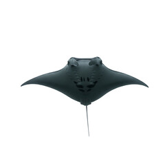 Majestic Manta Ray: Underwater Elegance, Ocean Wildlife, Marine Life Photography