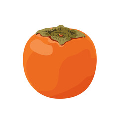 Cartoon persimmon illustration against a white background, focus on fruit and its green leaves