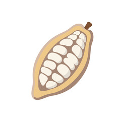 Cartoon illustration of a cut cocoa pod with white beans on a white background