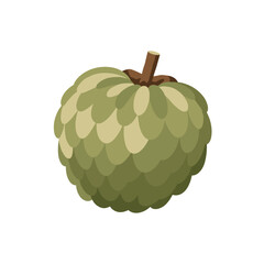 Stylized custard apple featuring green scalelike textured skin and a brown stem on a white backdrop