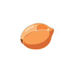 Cartoon-style vector illustration of a whole, orange raw onion on a white background