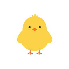 A yellow chick with black eyes and an orange beak isolated on a white background