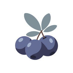 Stylized blue berries cluster with grey leaves, minimalist illustration against white background