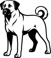 Anatolian Shepherd Dog.eps