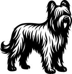 Briard.eps