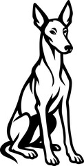 Ibizan Hound.eps