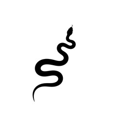 Fototapeta premium A silhouette of a snake, white background.