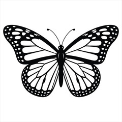 butterfly vector illustration