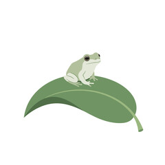 A green frog perched on a leaf, surrounded by a minimalistic white background