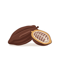 A detailed illustration of a cacao pod cut in half, showcasing seeds, on a clean background