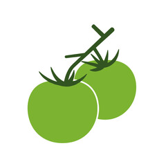 Fresh green tomatoes on a vine with a blurred garden background, showcasing growth