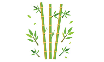 Bamboo set vector