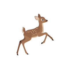 A playful fawn leaps gracefully across a white background, showcasing its agility and charm