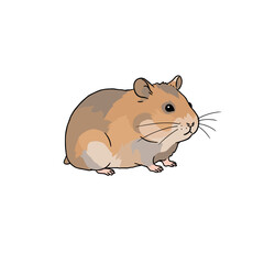 Cute cartoon hamster sitting on a white background, showcasing its round body and whiskers