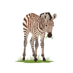 Obraz premium A zebra grazing on grass in a serene environment, with clear skies in the background
