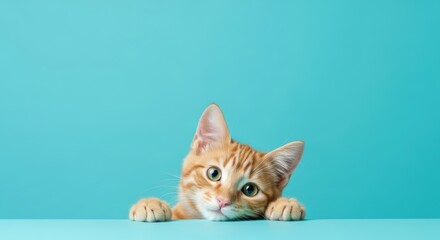 Cute ginger cat posing playfully against a blue background for international cat day celebration