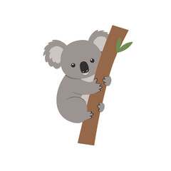 Cute cartoon koala hugging a tree branch with a green leaf, set against a white background