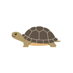 Cartoon turtle slowly moving across a white background, showcasing its shell and features