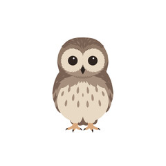 Cute cartoon owl illustration with big eyes, set against a plain background