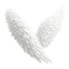 Fototapeta premium A pair of white angel wings displayed against a black background with detailed feathering visible clearly