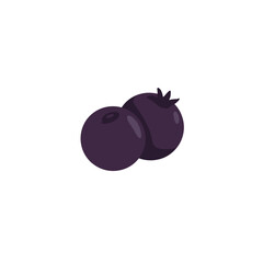 Two ripe blueberries on a white background, ideal for healthy food promotions