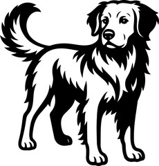Nova Scotia Duck Tolling Retriever.eps