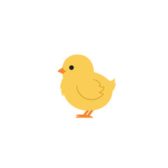 Cute yellow chick standing on a white background, conveying a sense of innocence and springtime