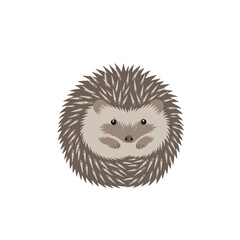 Cute cartoon hedgehog sitting on a plain background, showcasing its spiky fur and adorable features