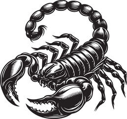 Black and White Scorpion Vector Illustration – Aggressive Insect Tattoo Design	
