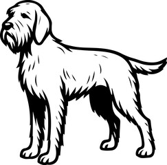 Spinone Italiano.eps