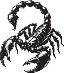 Black and White Scorpion Vector Illustration – Aggressive Insect Tattoo Design	
