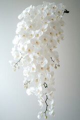 Stunning photograph of cascading white orchid arrangement, showcasing delicate petals and elegant blooms. This floral display adds touch of sophistication and beauty to any setting