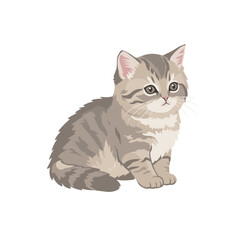 A cute gray tabby kitten sitting gracefully against a plain white background