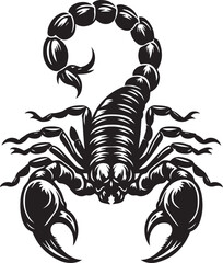 Black and White Scorpion Vector Illustration – Aggressive Insect Tattoo Design	
