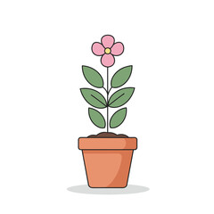A vibrant pink flower blooming in a simple pot against a clean white background