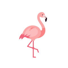 A vibrant pink flamingo stands gracefully against a minimalist white background