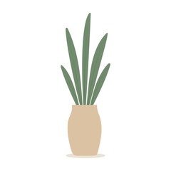 House plants in pots. Element for design house, room or office. Isolated element on white background.
