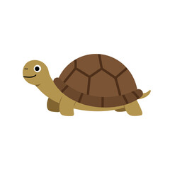 Cartoon turtle walking happily on a plain background, ideal for educational materials