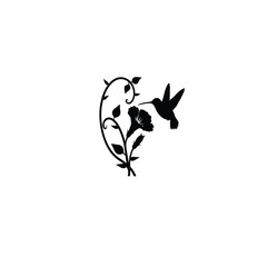 a hummingbird near a blossom silhouette on white background