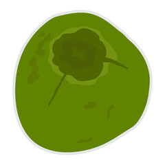 Isolate hand drawn fresh young whole coconut fruit icon.