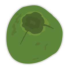 Isolate hand drawn fresh young whole coconut fruit icon.