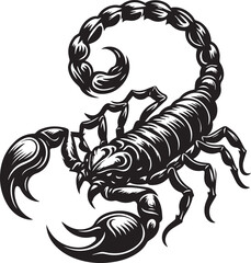 Black and White Scorpion Vector Illustration – Aggressive Insect Tattoo Design	
