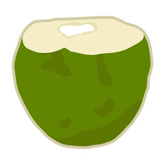 Cute hand drawn whole coconut. Fresh young coconut fruit with opened one.