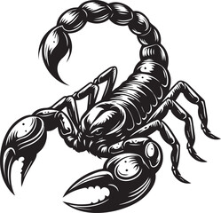 Black and White Scorpion Vector Illustration – Aggressive Insect Tattoo Design	

