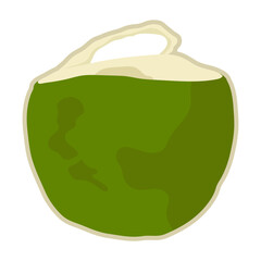 Isolate fresh young coconut fruit with opened one.