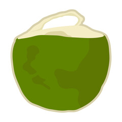 Isolate fresh young coconut fruit with opened one.